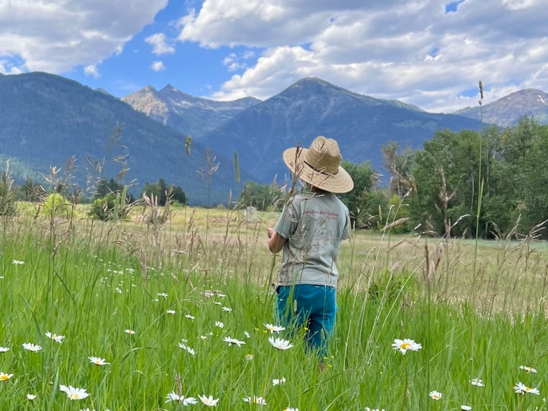 4 Amazing Family-Friendly Hikes in the Wallowa Mountains